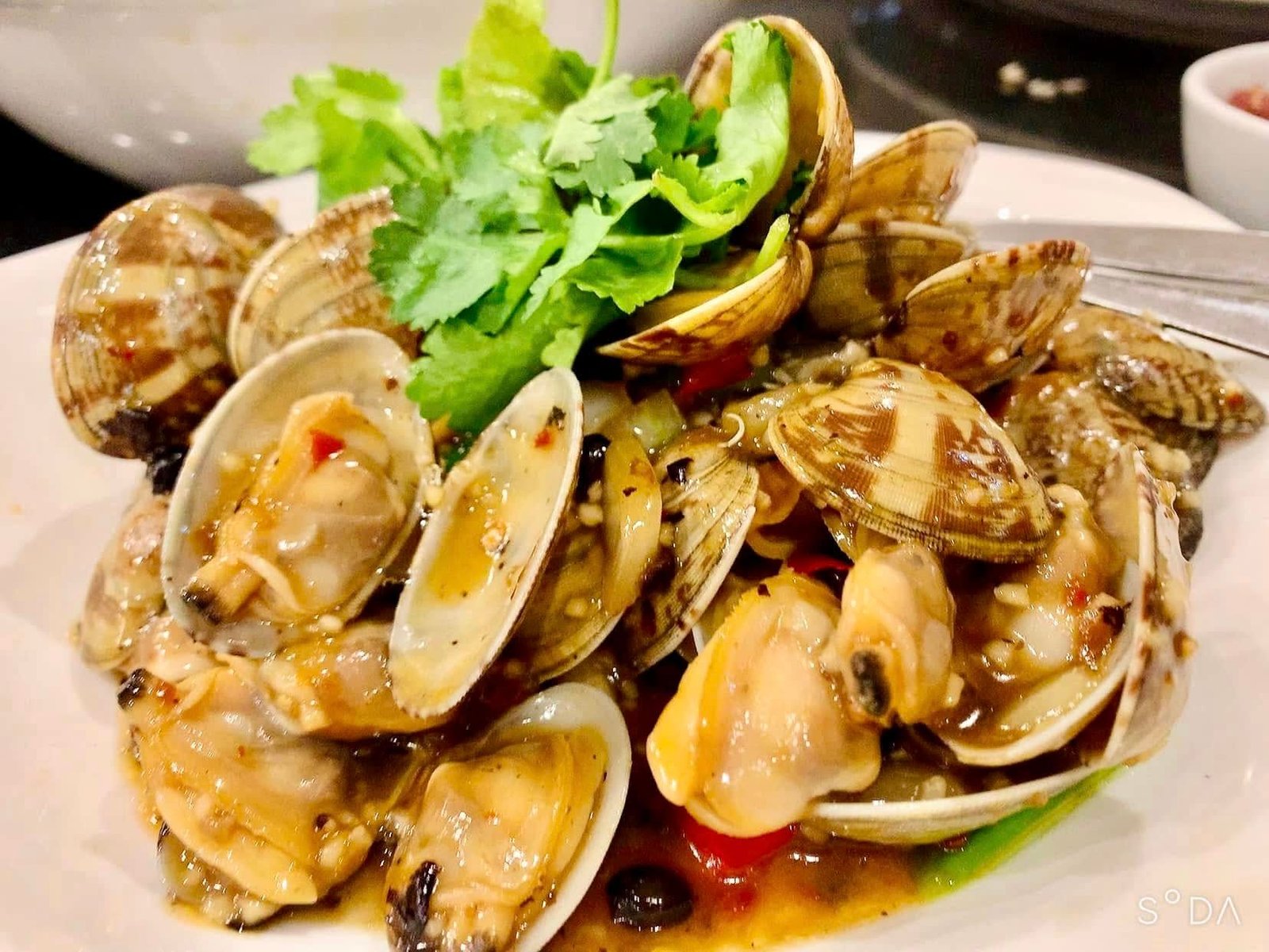 469019908_122095616480666991_954372186751680813_n